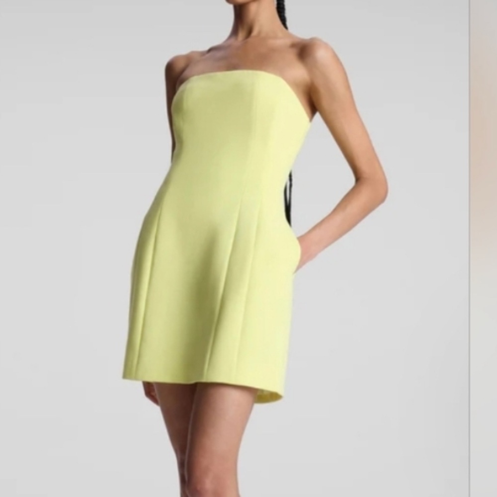 A.L.C. Elsie Strapless Minidress